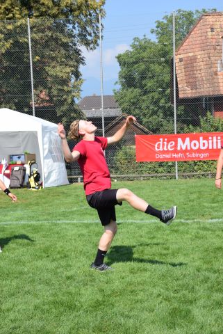 Bild (98)
